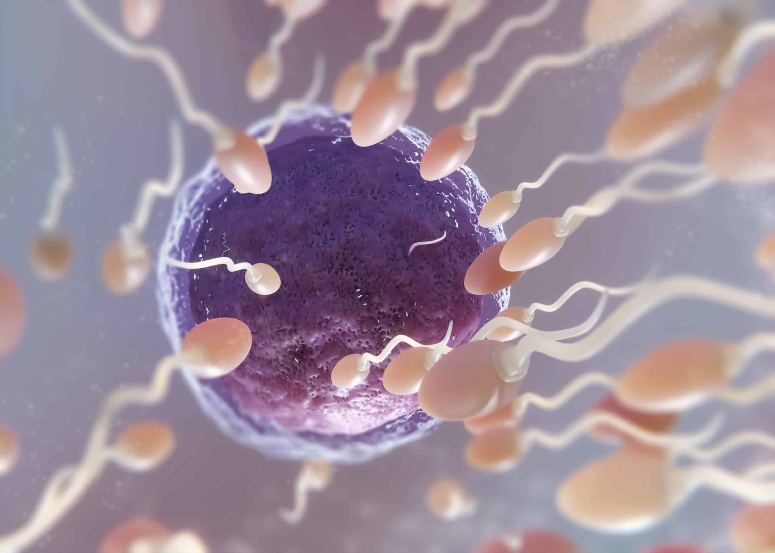 Por que uma clínica de reprodução humana decide buscar a acreditação ONA?
